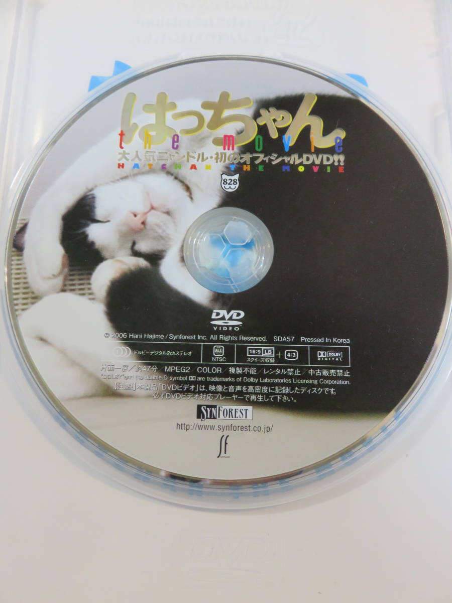 猫ちゃんDVD『はっちゃん ザ・ムービー the movie　大人気ニャンドル・初のオフィシャルDVD!!』セル版。47分。即決。_画像3