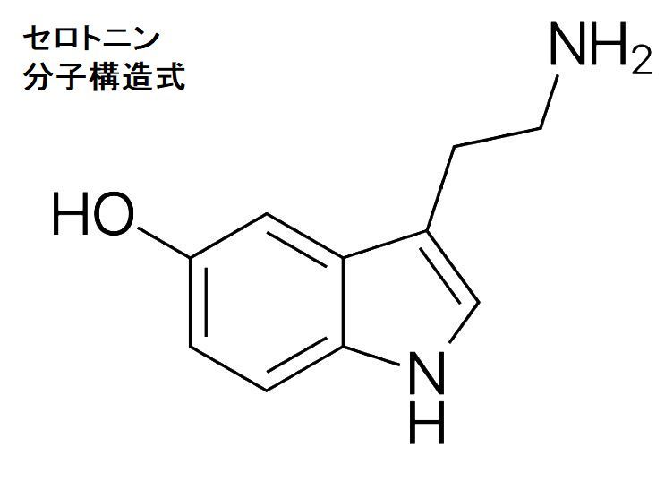 ☆☆(理系)分子化学式ペンダント セロトニン☆ 生体リズム 神経内分泌 睡眠 体温調節 理系女子(りけじょ) 化学 科学 医学_画像3