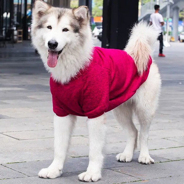  собака одежда Dog домашнее животное одежда свитер зима одежда осень одежда обратная сторона ворсистый красный 3XLbru собака окантовка колли Roland овца собака medium пудель 