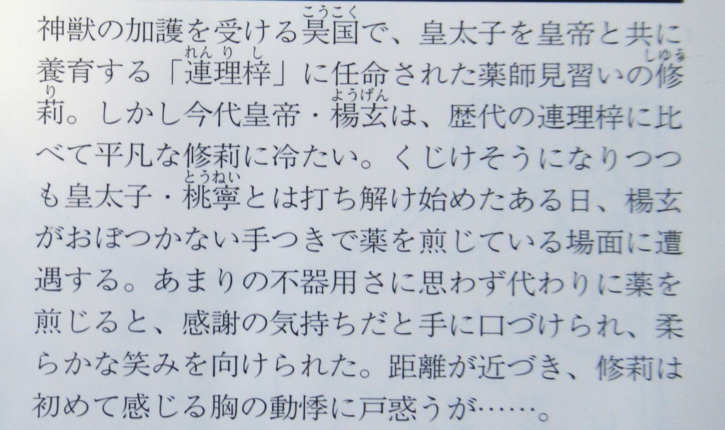 神獣皇帝と初恋の誓い～市川紗弓/高星麻子～ルビー文庫_画像2