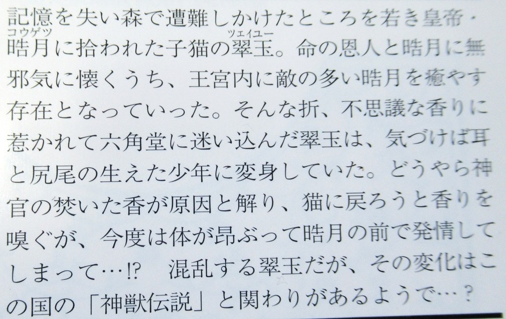 皇帝陛下と恋する子猫～廣瀬航/北沢きょう～ルビー文庫_画像2