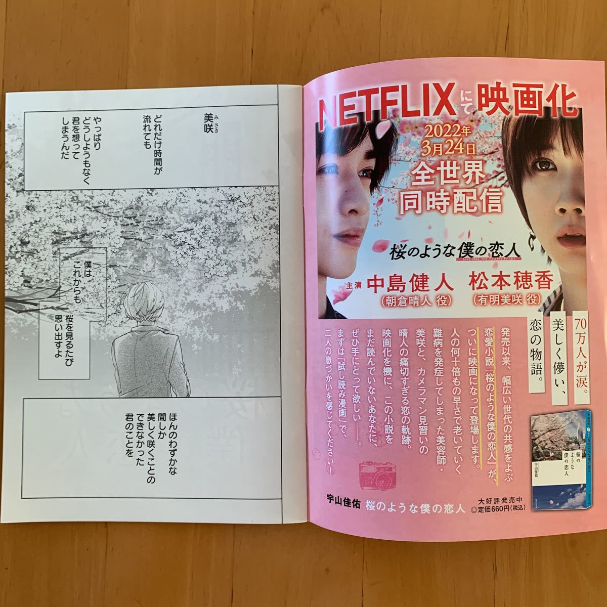 桜のような僕の恋人 試し読み漫画 集英社 Netflix 中島健人 松本穂香_画像3