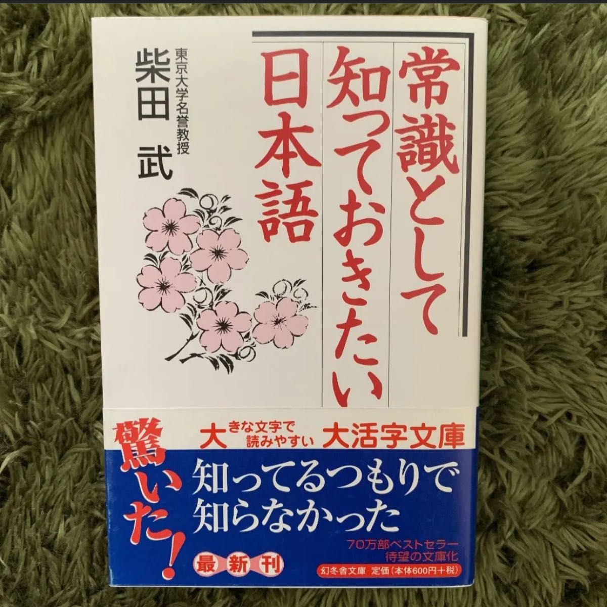 常識として知っておきたい日本語　柴田武　帯付き