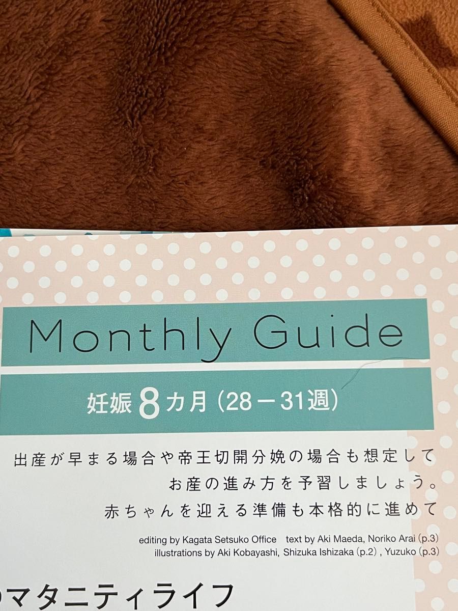 【3冊セット】befa！妊娠7ヶ月〜9ヶ月の育児本 妊娠・出産への心の支えになりますように 