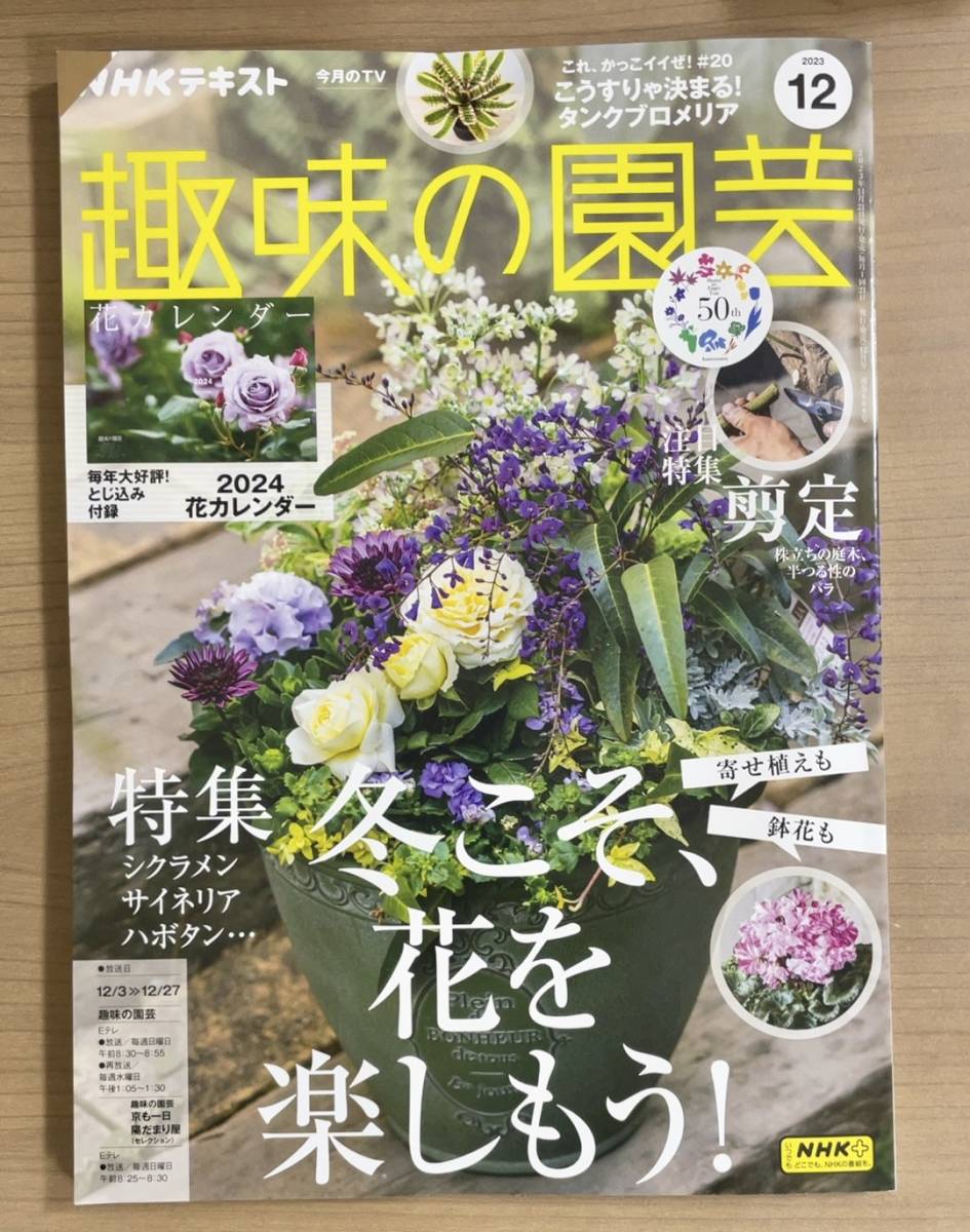 NHK趣味の園芸2023年12月号 冬の寄せ植え/シクラメン・サイネリア・ハボタン/庭木・バラの剪定/レモン/付録 花カレンダーほか　送料185円_画像1