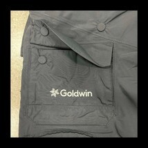 B-45】size/M 22-23 GOLDWIN ゴールドウイン Pad Bib G31390PP B-45】size/M 22-23 GOLDWIN ゴールドウイン Pad Bib G31390PP