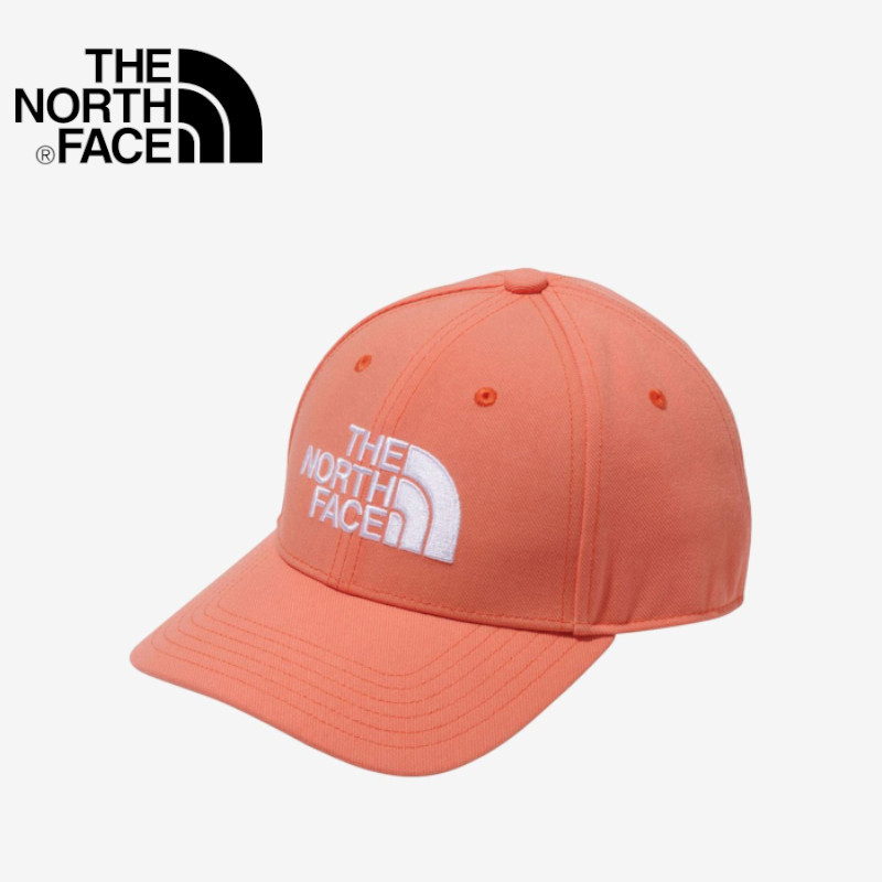 【G-81】　THE NORTH FACE　ノースフェイス　TNFロゴキャップ（ユニセックス）　NN42242 カラー：DO　サイズ：F_画像1