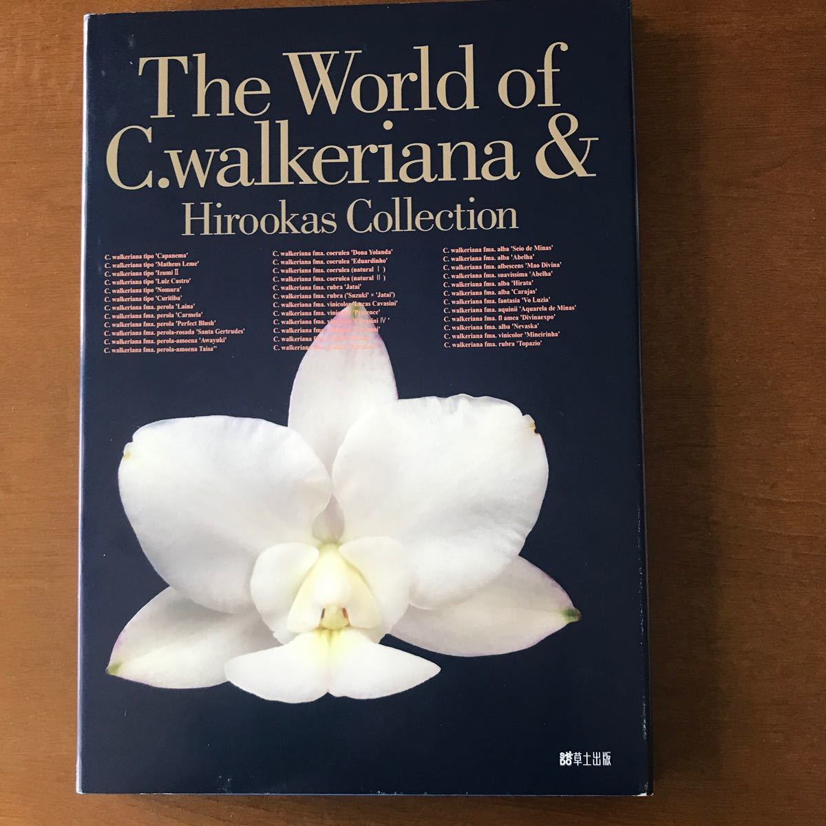 The World of C. walkeriana & Hirookas Collection_画像1