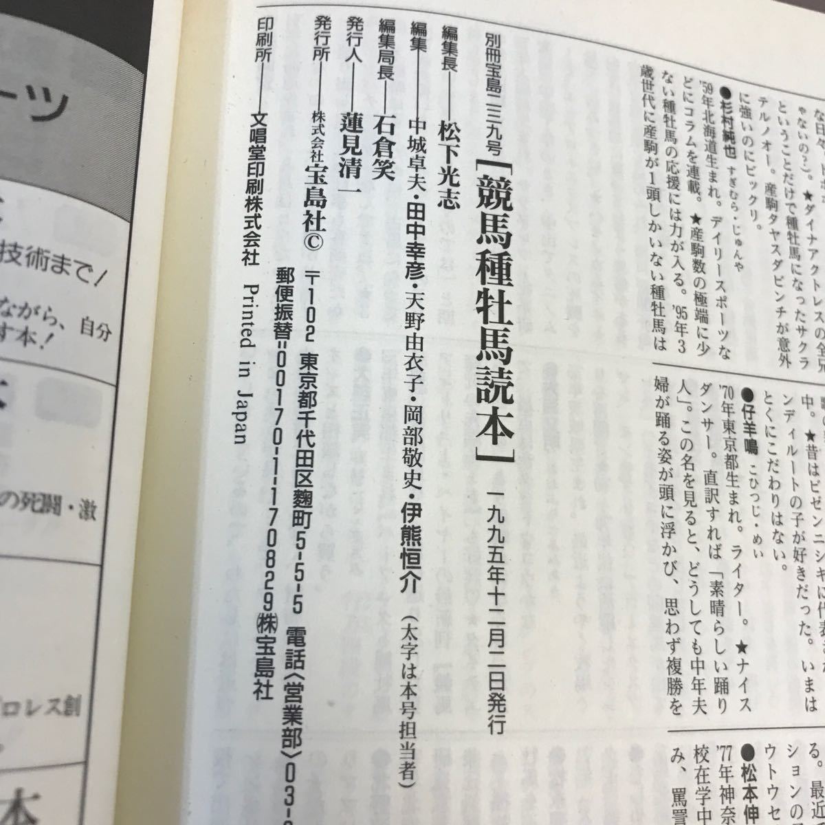 E57-137 別冊宝島 239 競馬 種牡馬読本 サンデーサイレンスからアアセイコーまで、父ちゃんたちの物語 宝島社 _画像4