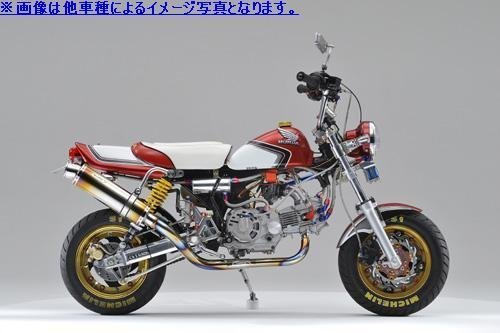 Realize (リアライズ) スズキ GS50 (BA-NA41A) 2005年～2006年モデル対応 バイクマフラー EMPLESS エンプレス Ti チタン V-305-101-01