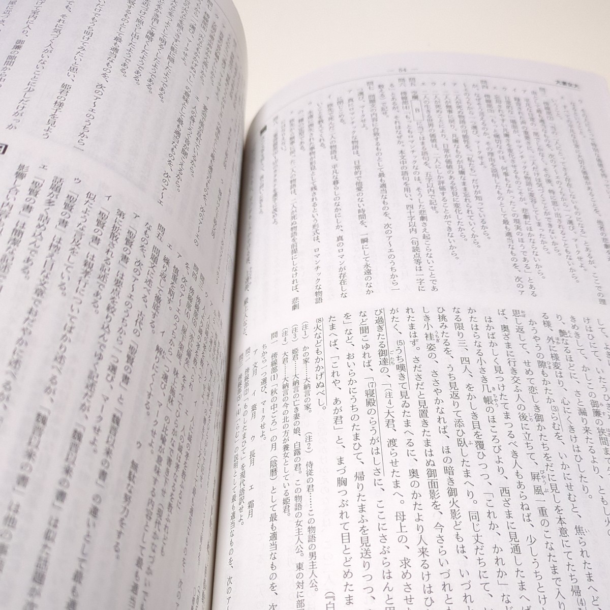 追加掲載編】 全国大学入試問題正解 国語 追加掲載編 2017年 追加掲載編】 全国大学入試問題正解 国語 追加掲載編 2017年
