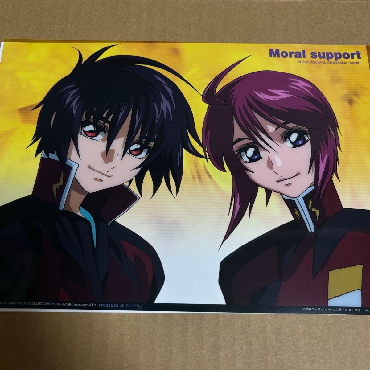 ガンダムSEED DESTINY CellDX treasure キラ ラクス アスラン ガンダムSEED DESTINY CellDX treasure キラ ラクス アスラン
