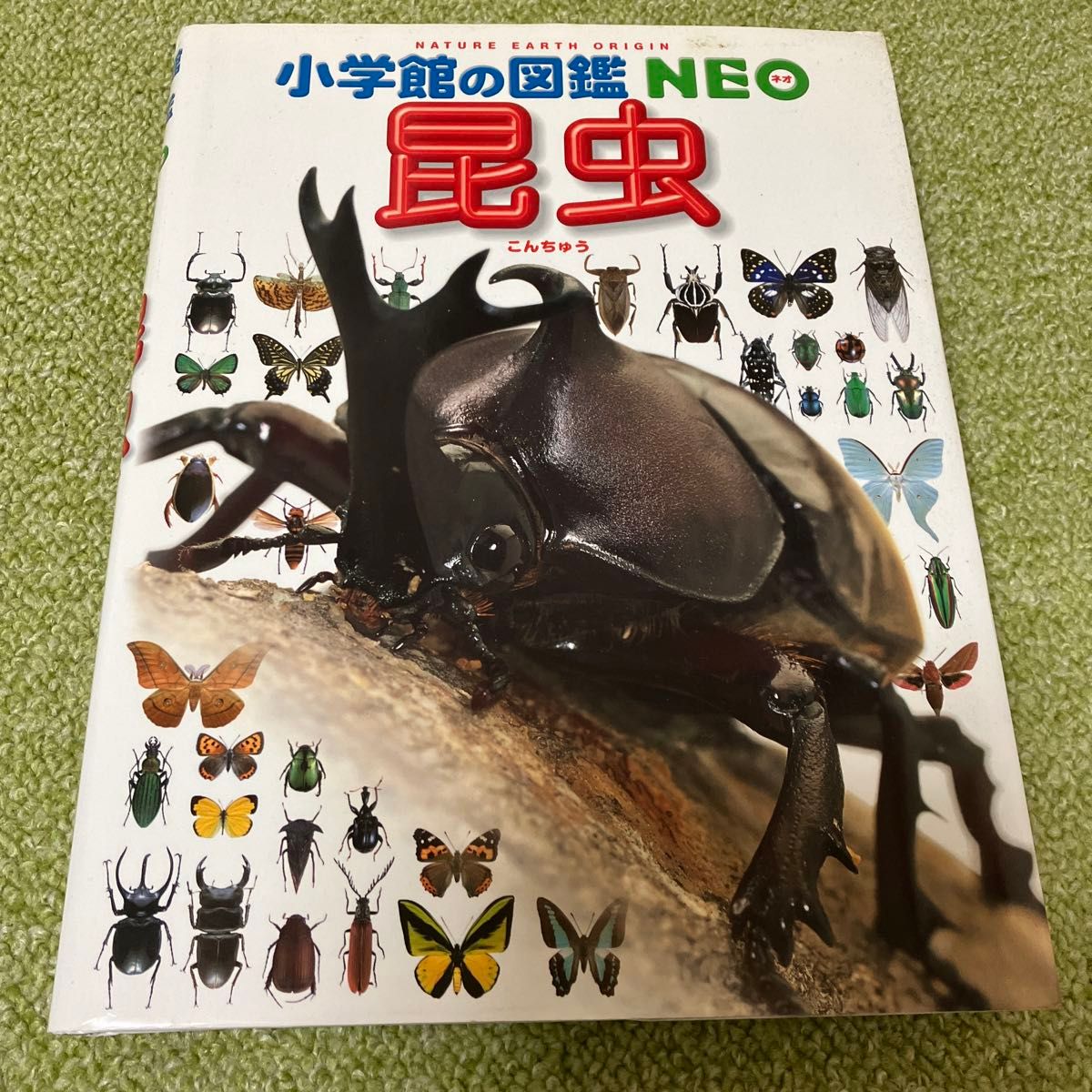 小学館図鑑NEO 昆虫
