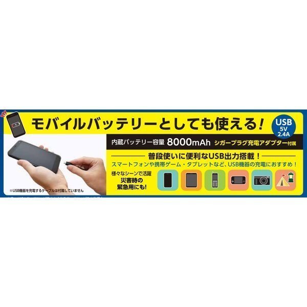 セルスター Cellstar MJP-3000 DC12V車用 モバイルジャンプスターター　モバイルバッテリー機能搭載（内蔵バッテリー容量 8000mAh）_画像4