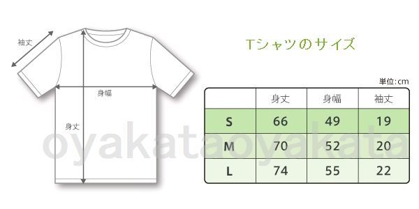 ▼▼▼ クラブニンテンドー ティーシャツ T シャツ 2010 チャコール club.nintendo T-SHIRT 18 M ▼▼▼_画像5