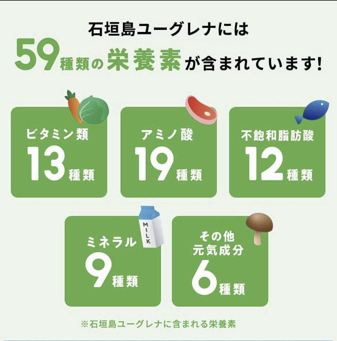 即日発送 からだにユーグレナ 青汁 2箱 40本 スティック 40包 ユーグレナ 乳酸菌 グリーンパウダー ダイエット ケール パウダー 健康食品