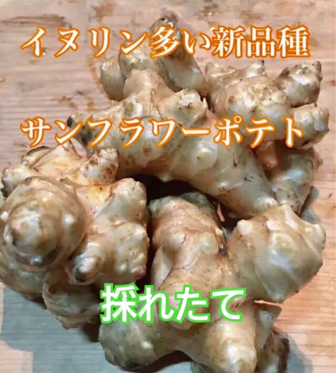 新食感 菊芋フレーク サンフラワーポテト キクイモチップス 100g2袋　新品種