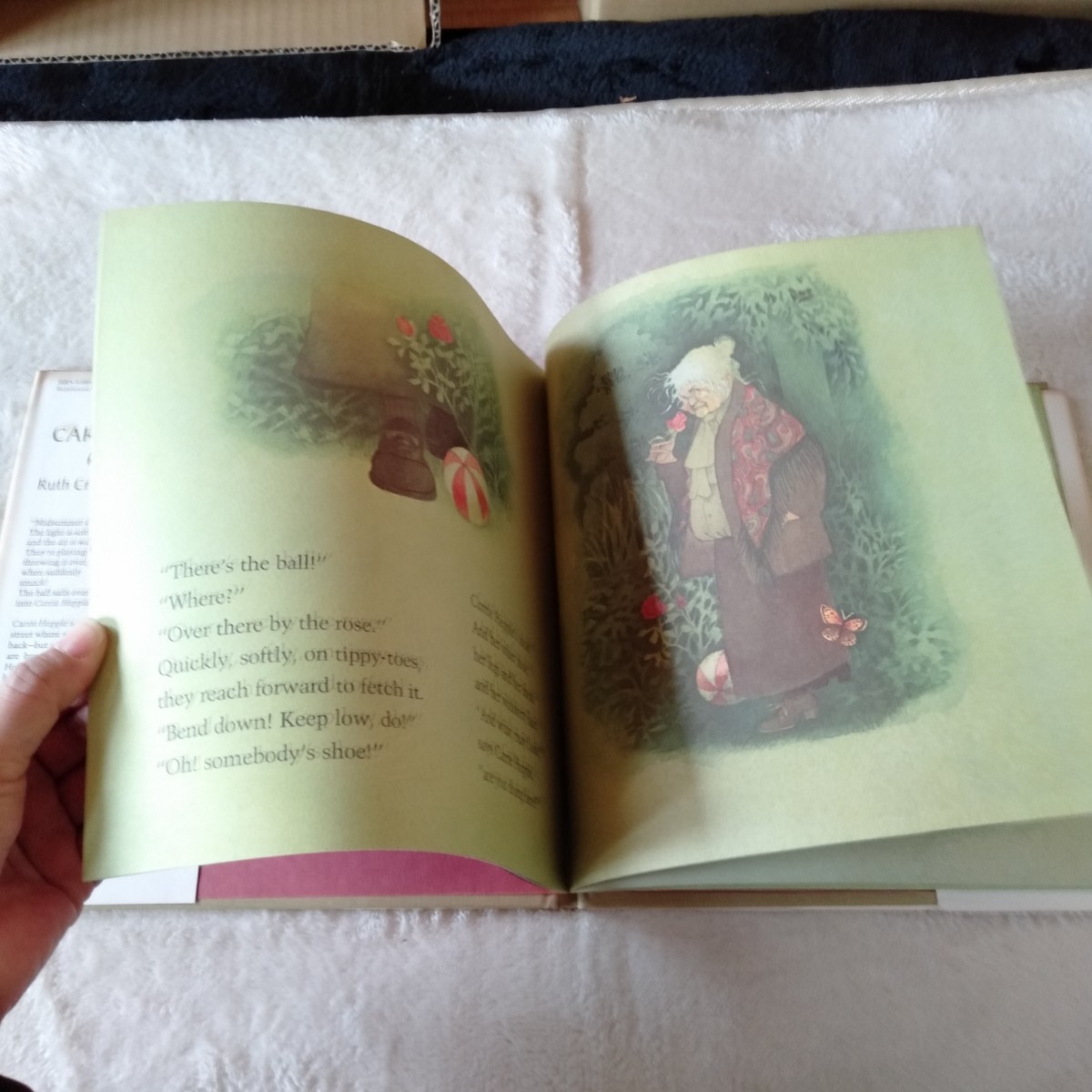 B096 CARRIE HEPPLE'S GARDEN Ruth Craft and Irene Haas 本 絵本 洋書_画像7