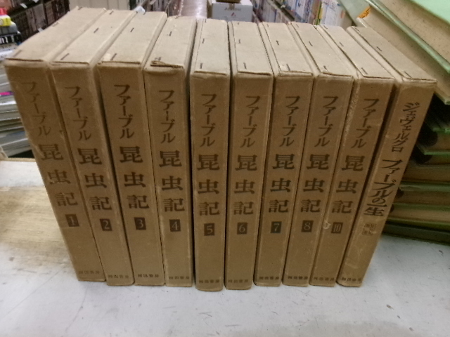  fur bru insect chronicle 10 pcs. 1 volume ~8 volume .10 volume . another volume ( fur bru. one raw ).,9. less. large Japanese cedar .*. name . two *. tail . other translation Kawade bookstore month . have 