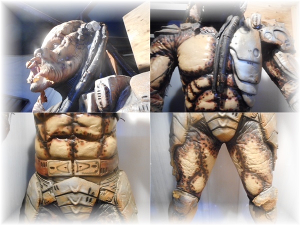 ② mania worth seeing PREDATOR Predator life-size figure plate attaching 2 body have 1987 TWENTIWTH CENTURY FOX FILM COPORATION ALL RAIGHTS RESERVED