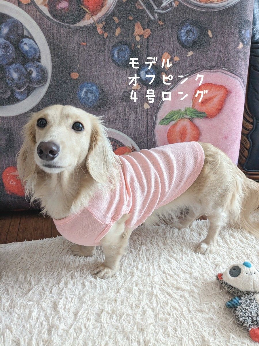 ２号超小型犬◯ストレッチニットウェアー犬服チワワヨーキーポメラニアンオフピンク