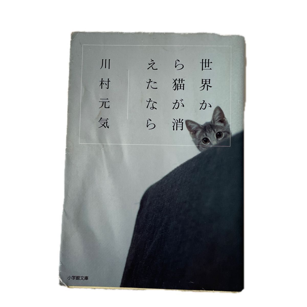 世界から猫が消えたなら （小学館文庫　か１３－１） 川村元気／著
