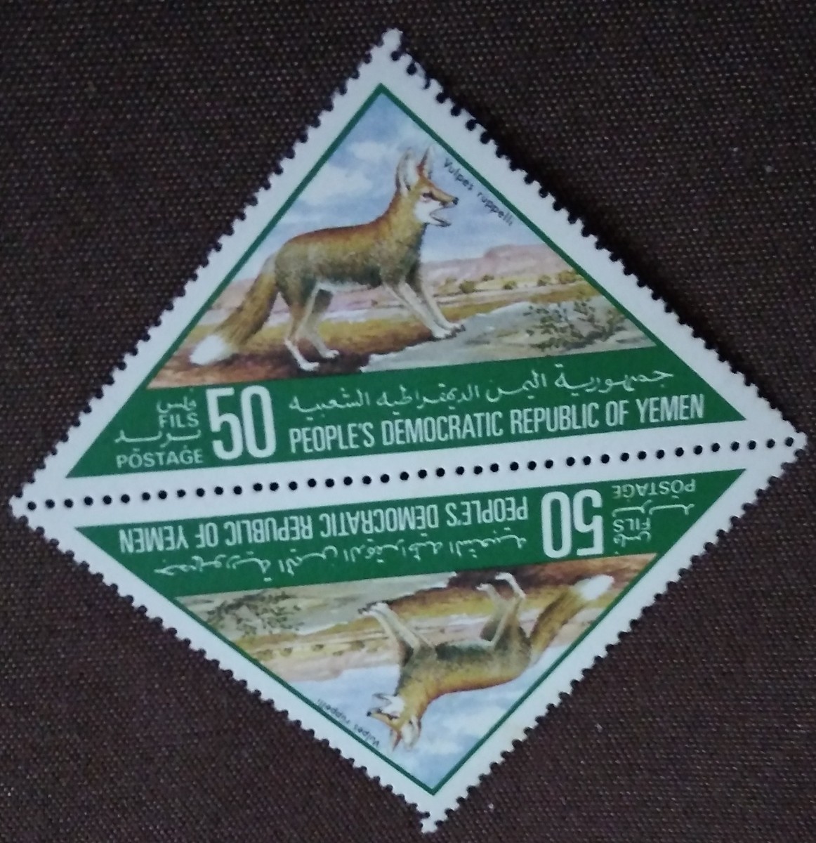 イエメン　1981 野生生物の保護　アラビアヒョウ　1種　三角切手　ペア　動物　未使用糊あり_画像6