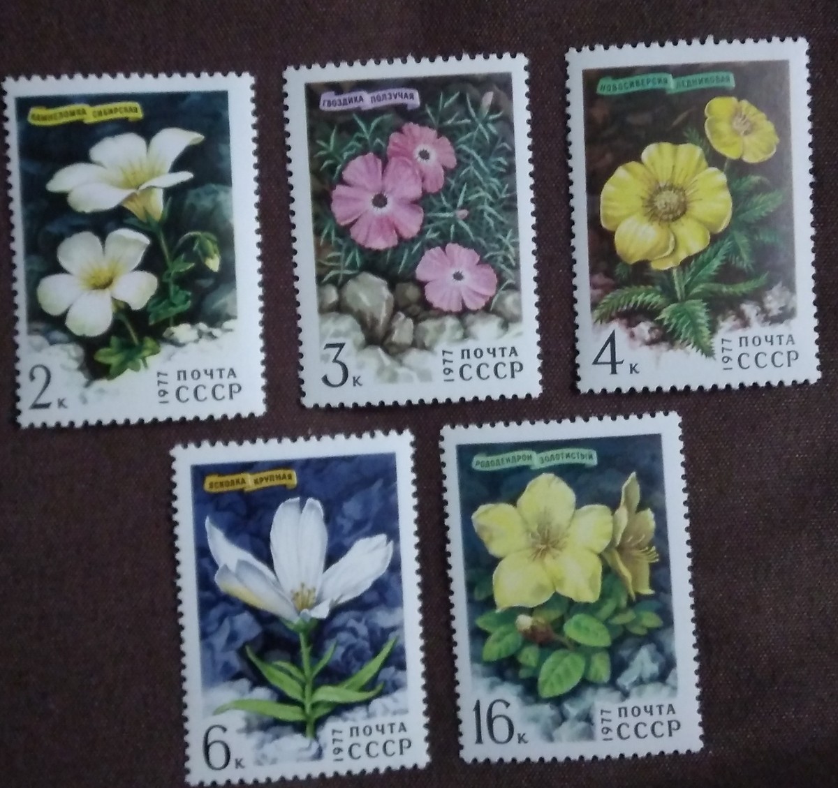 ソ連　ロシア　1977 山の花　5完　植物　草花　花　未使用糊あり_画像1