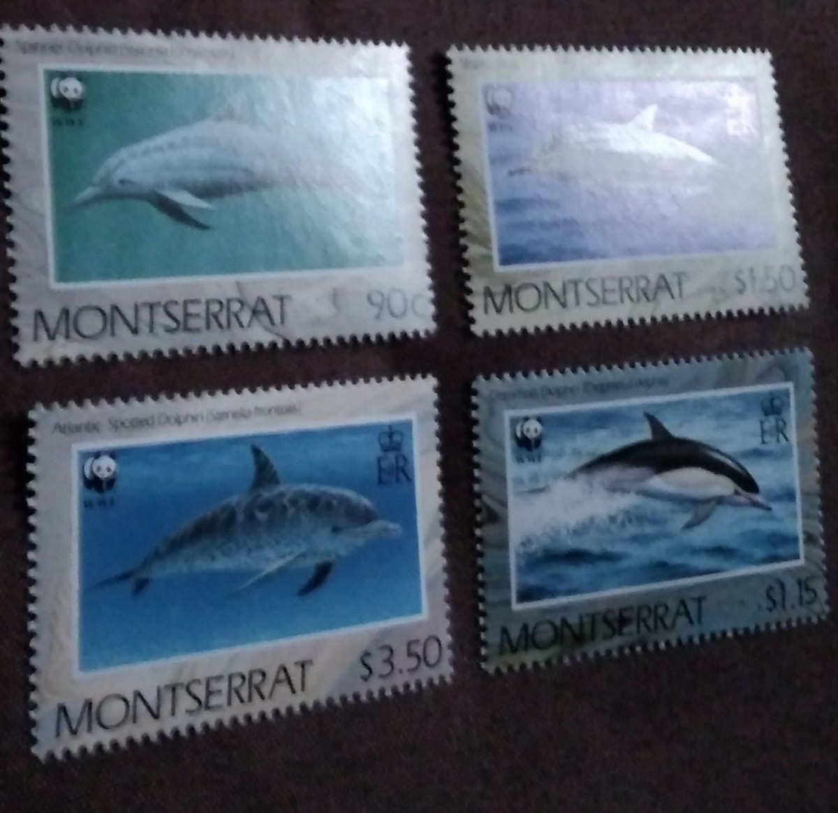 モントセラト　イギリス海外領土　1990 イルカ　4完 WWF （世界自然保護基金）　海洋生物　海洋哺乳類　未使用糊あり_画像7