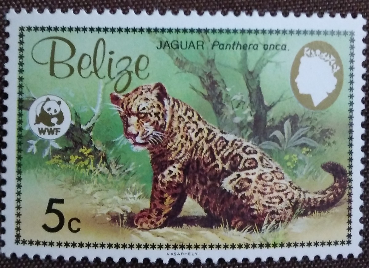 ベリーズ　1983 ジャガー　WWF （世界自然保護基金） 4完　未使用糊あり_画像3