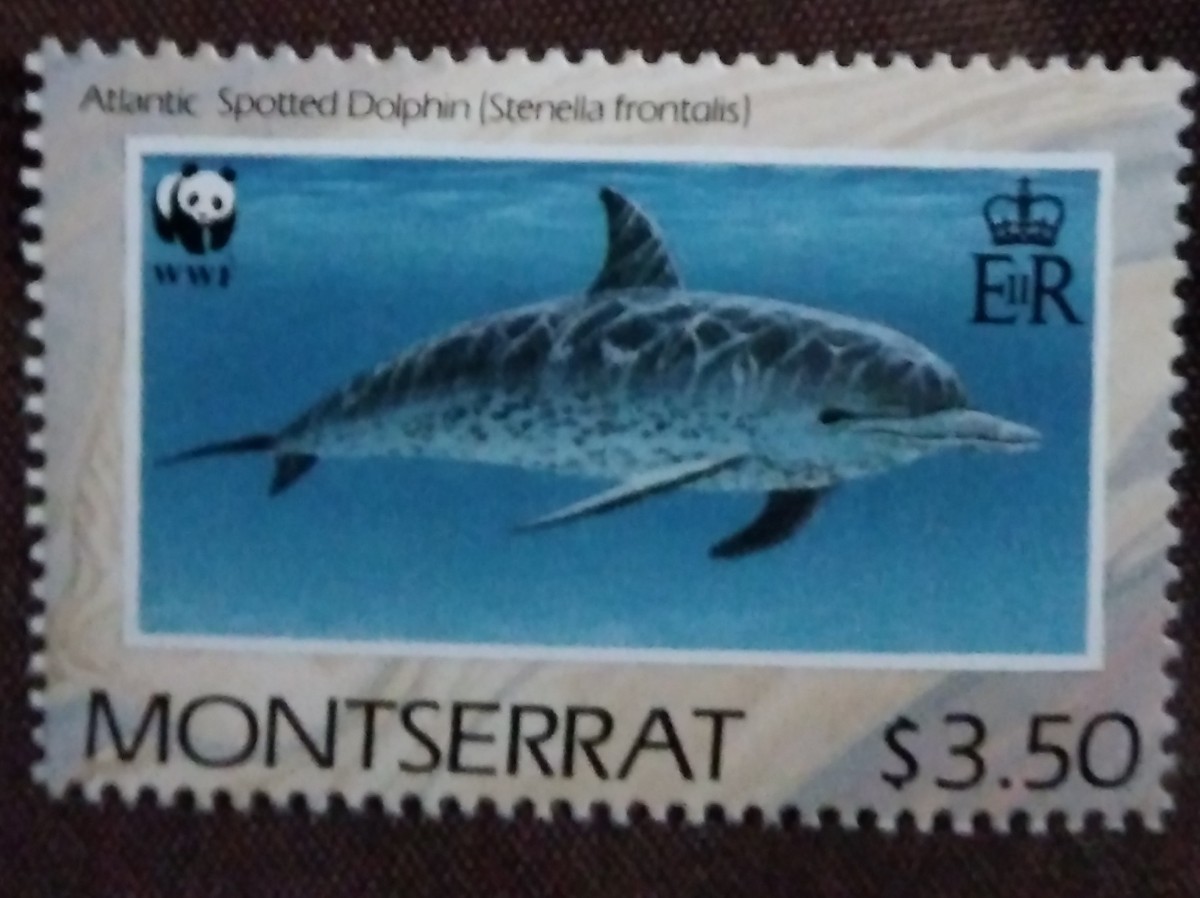 モントセラト　イギリス海外領土　1990 イルカ　4完 WWF （世界自然保護基金）　海洋生物　海洋哺乳類　未使用糊あり_画像6