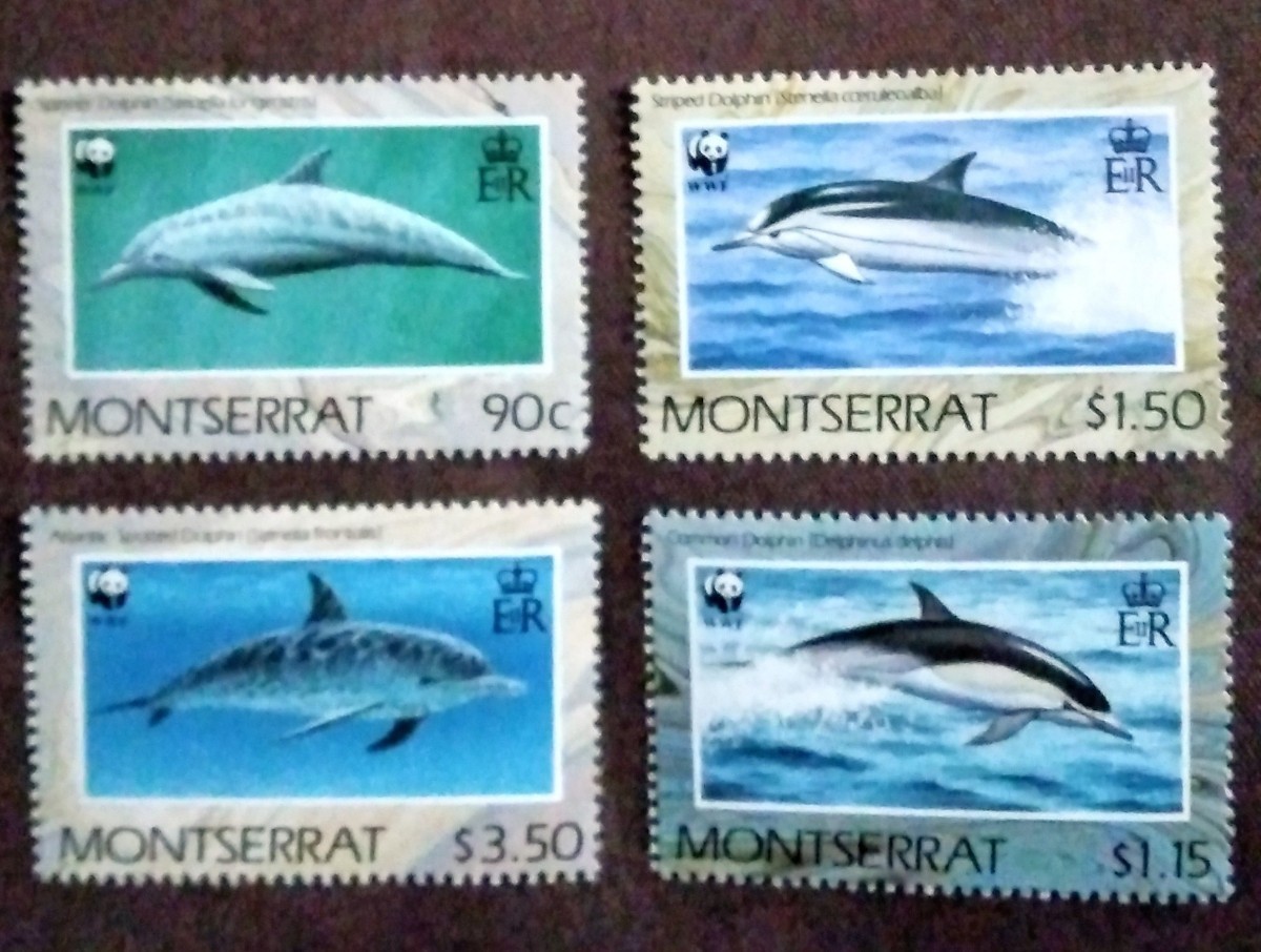 モントセラト　イギリス海外領土　1990 イルカ　4完 WWF （世界自然保護基金）　海洋生物　海洋哺乳類　未使用糊あり_画像9