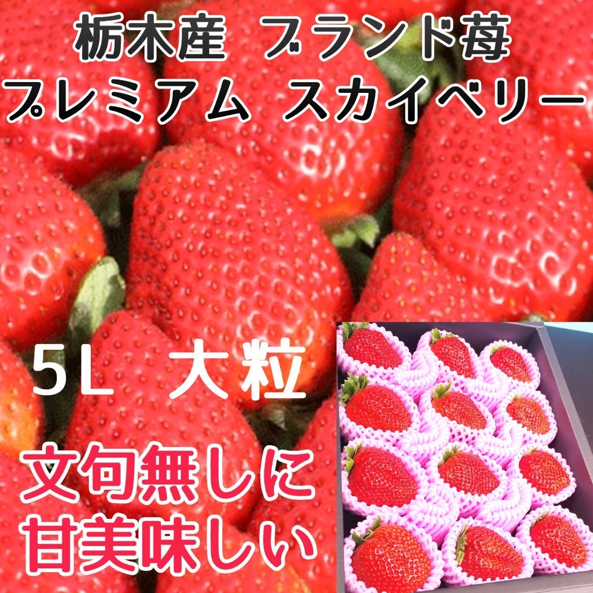 【栃木産 スカイベリー 】大玉 4~5L ギフト用 黒の化粧箱付 誕生日プレゼント 贈答用 お祝い事に!バレンタインデー用御供え _画像1