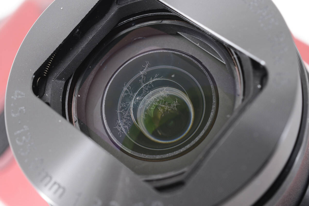 キャノン Canon PowerShot SX710 HS 光学30倍ズームレンズ ♯A6201B01050IHH_画像10