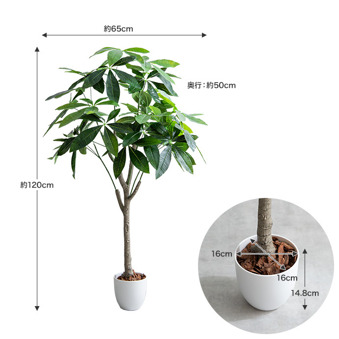 [ free shipping ][ height 120cm]Nature photocatalyst human work decorative plant pakira 