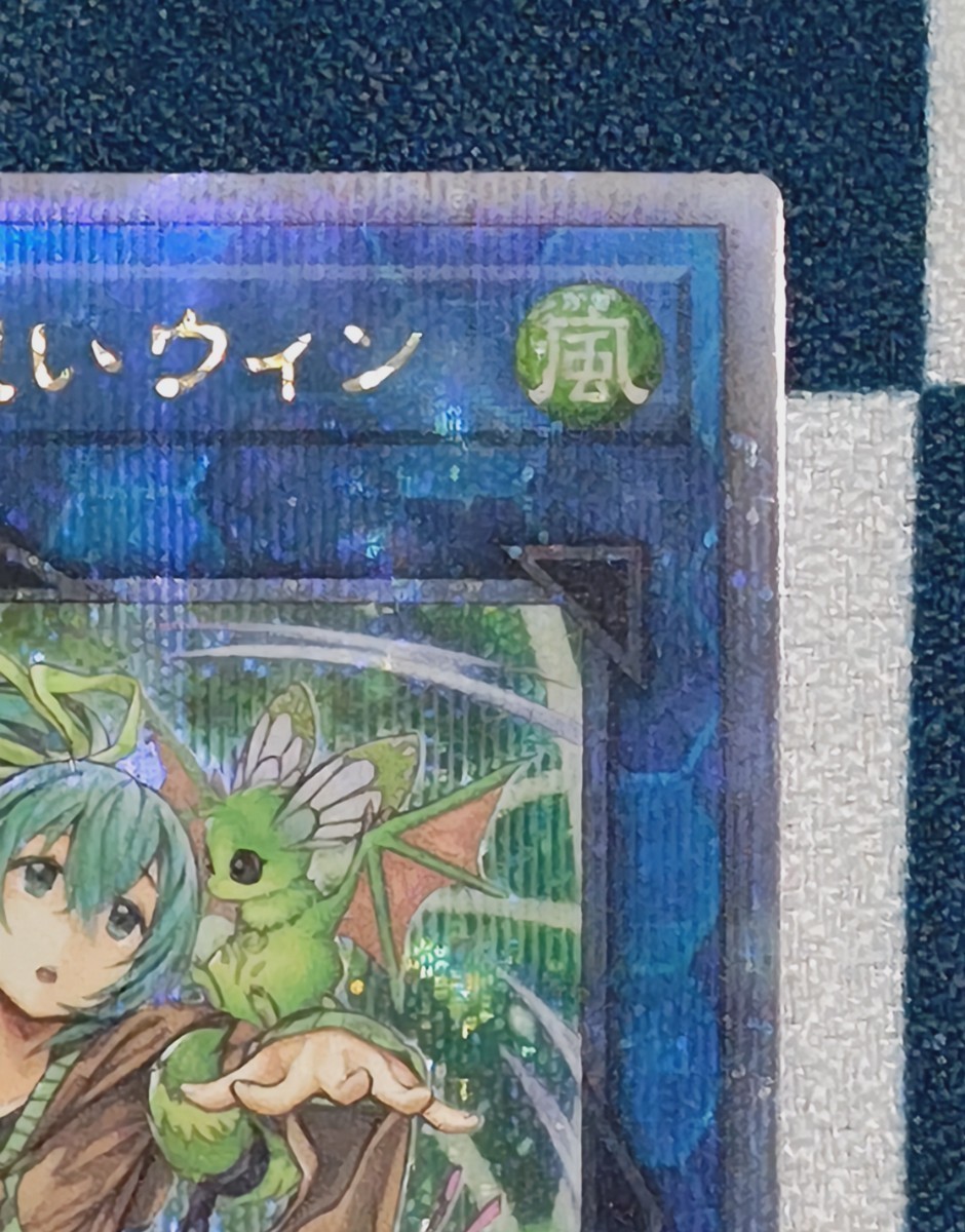 遊戯王OCG 蒼翠の風霊使いウィン 遊戯王 25th クォーター 遊戯王OCG 蒼翠の風霊使いウィン 遊戯王 25th クォーター