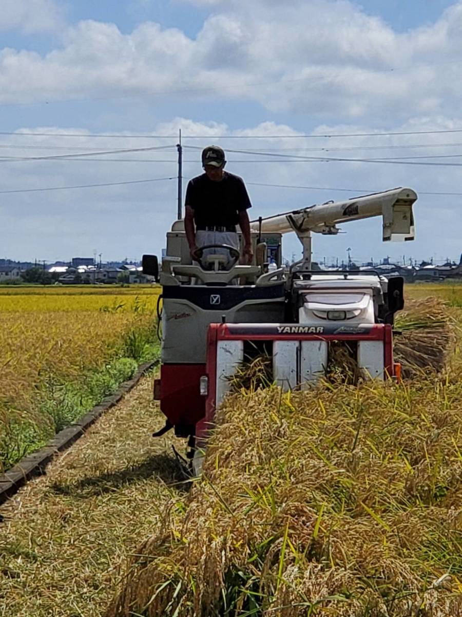 令和５年茨城県産いのちの壱玄米２０kg_今年、出来が良い！