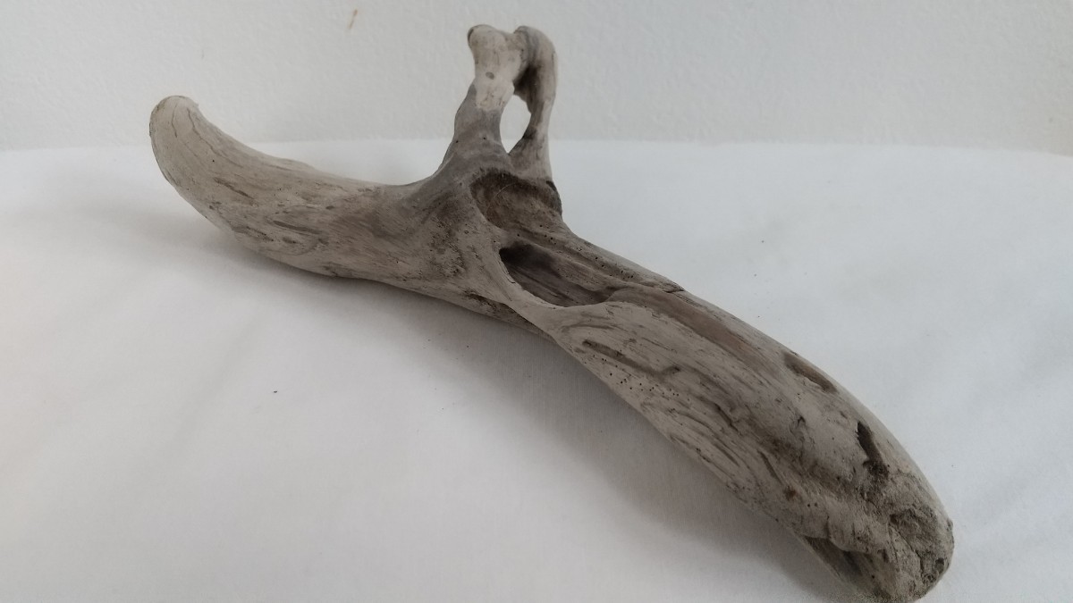 61* driftwood * reptiles breeding * interior * objet d'art * perch * insect breeding * art material *