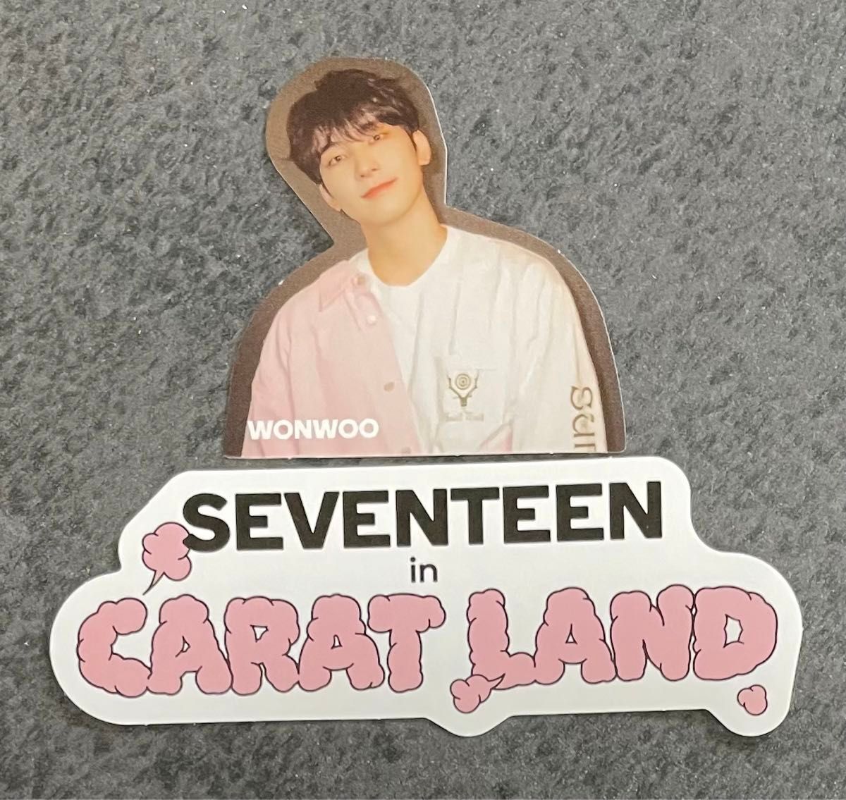 ウォヌ】2023 seventeen CARAT LAND ペンミ トレカ フォトカード ウォヌ】2023 seventeen CARAT LAND ペンミ トレカ フォトカード