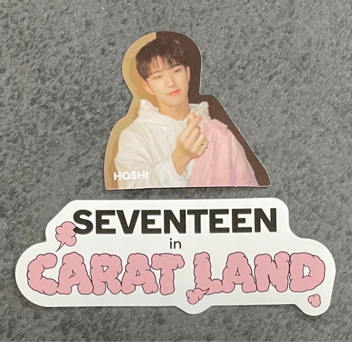 【ホシ】2023 seventeen CARAT LAND ペンミ トレカ フォトカード caratland ケレン