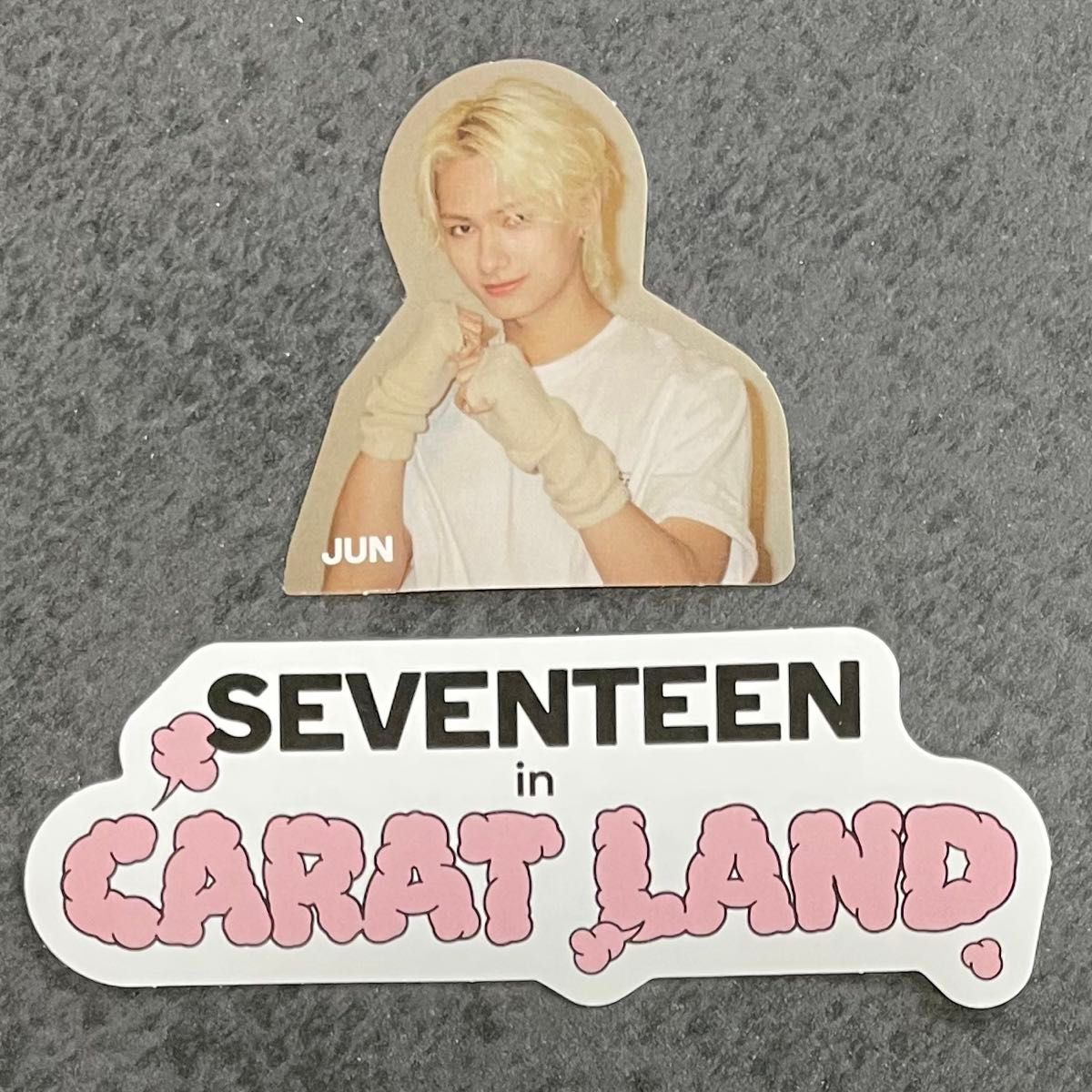 ジュン】2023 seventeen CARAT LAND ペンミ トレカ フォトカード ジュン】2023 seventeen CARAT LAND ペンミ トレカ フォトカード