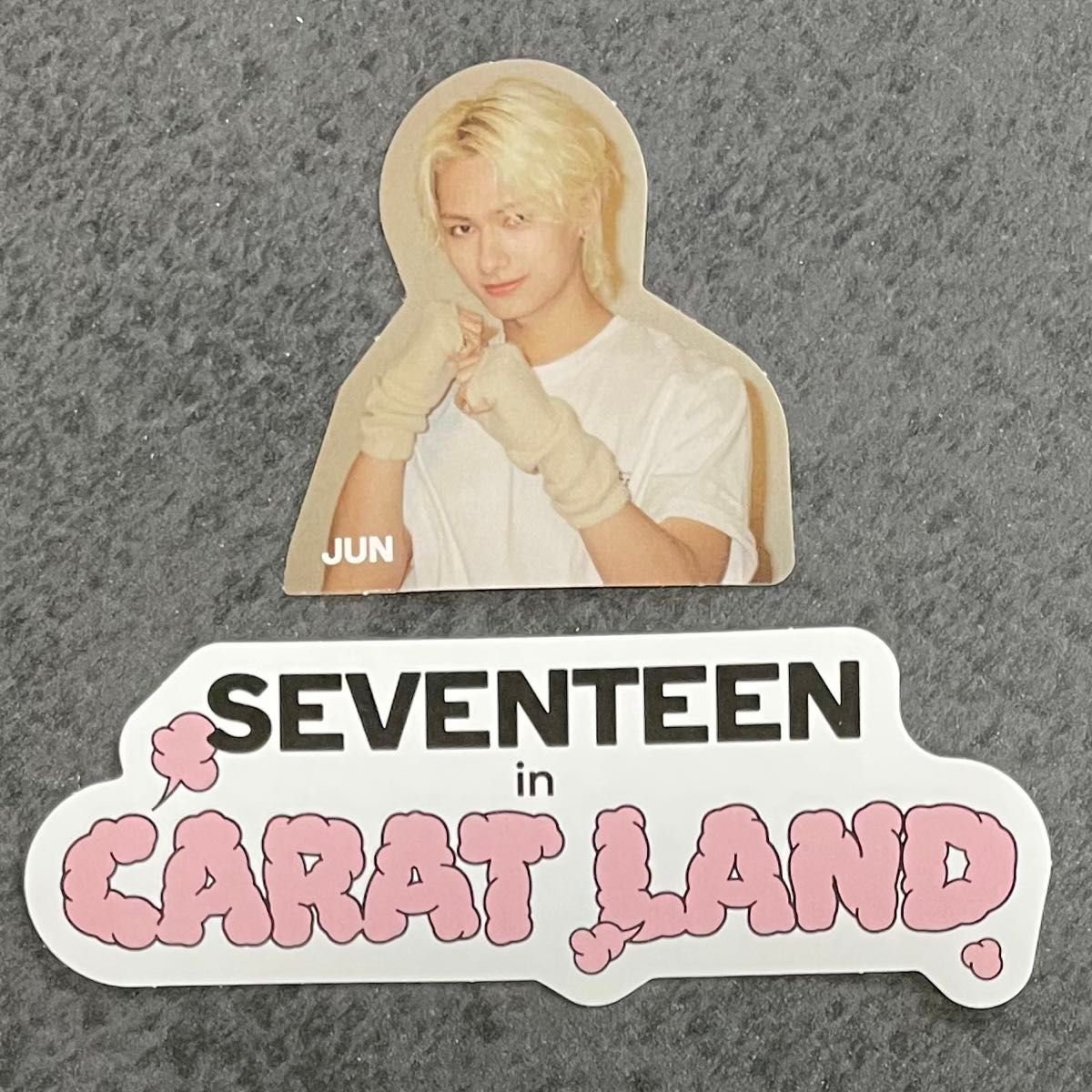 【ジュン】2023 seventeen CARAT LAND ペンミ トレカ フォトカード caratland ケレン