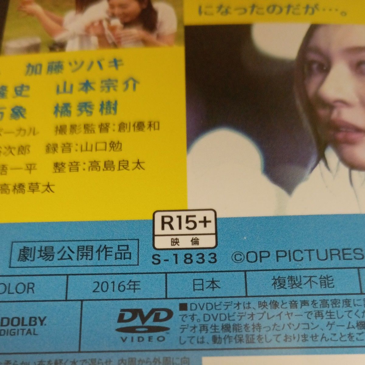 y107 初恋とナポリタン　辰巳ゆい　しじみ　加藤ツバキ　新品未開封　DVD R-15 セル専用