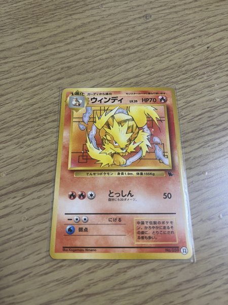 【ポケモンカード】Pokemon 　自引きワンオーナー品　ウインディ　Arcanine　イントロパック_画像1