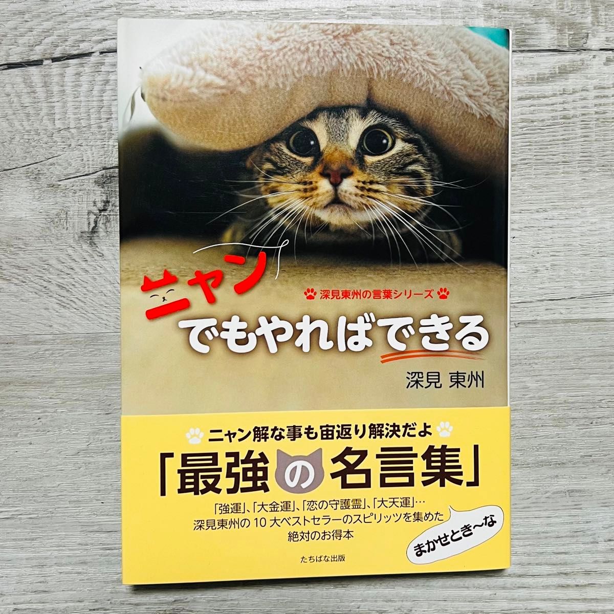 ニャンでもやればできる (深見東州の言葉シリーズ)  猫の本・書籍・本 猫用品