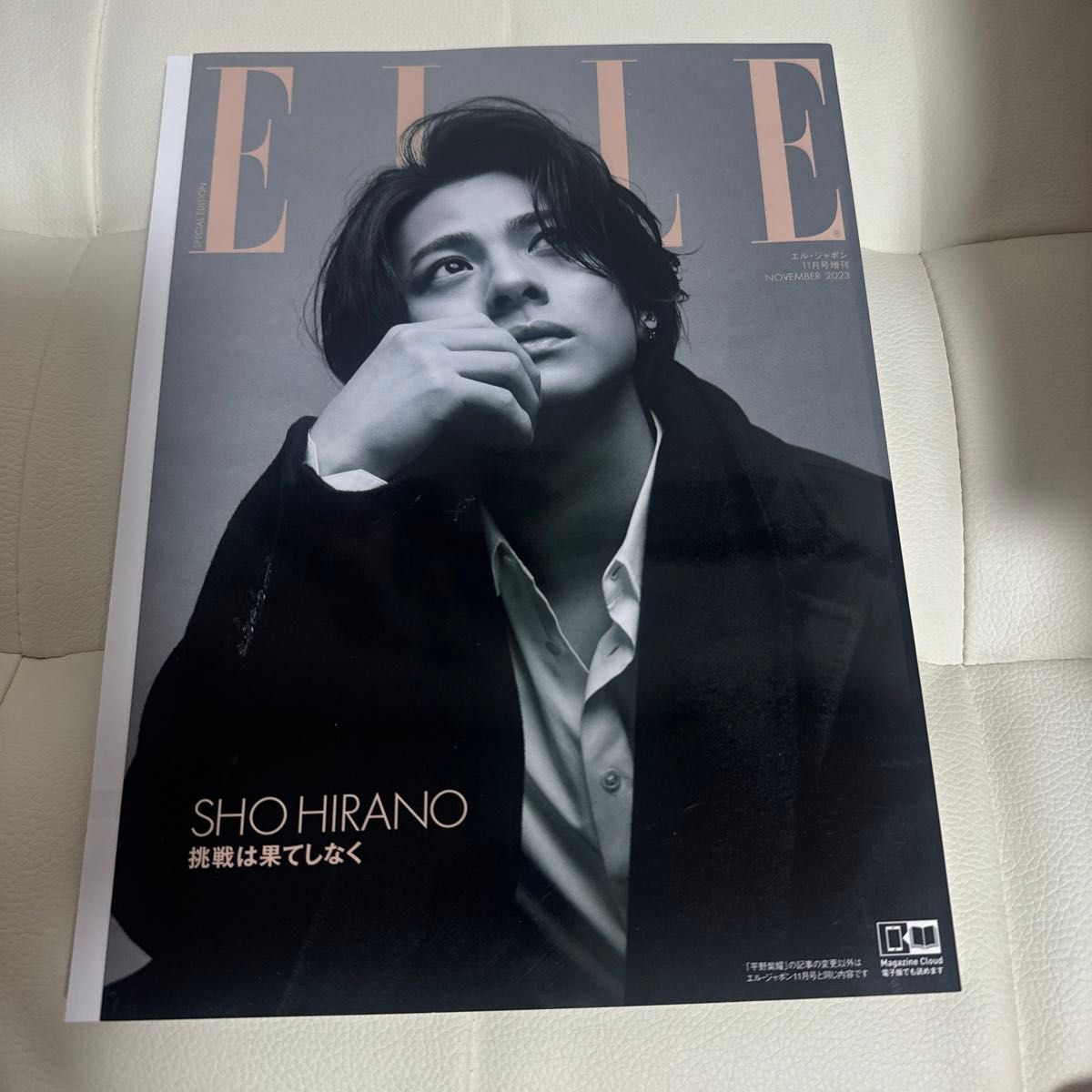 ＥＬＬＥ　ＪＡＰＯＮ増 ＥＬＬＥ　ＪＡＰＯＮ増　平野紫耀特別版 ２０２３年１１月号 （ハースト婦人画報社）