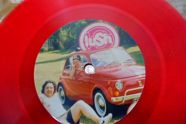 EPd-5506＜カラー盤＞Lush / 500 (Shake Baby Shake)_画像4