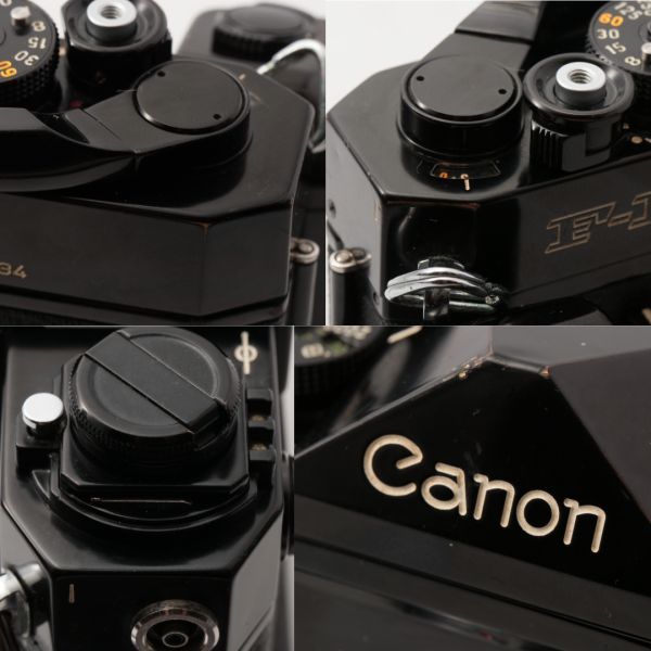 Canon F-1後期 Power Winder + FD 50mm f1.4 + Tefnon Macro 75-300mm f4.5-5.6 #1060/Zx2/2/3/1_画像8