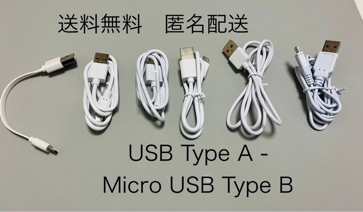 タイプA タイプB USBケーブル6本