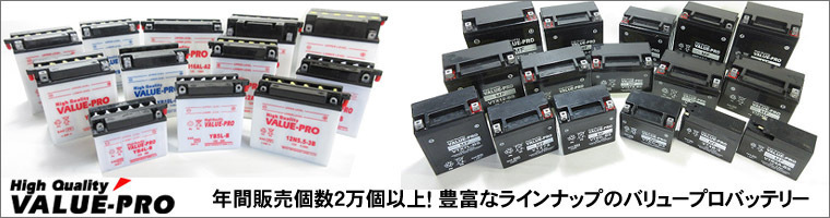 YB14L-A2 開放型バッテリー ValuePro / 互換 FB14L-A2 ZZ-1100C ZX-11C ZX-10 GPZ900R GPZ1000R GPZ750R GPX750R KZ750 Z750 Z750F Z750FXの画像6